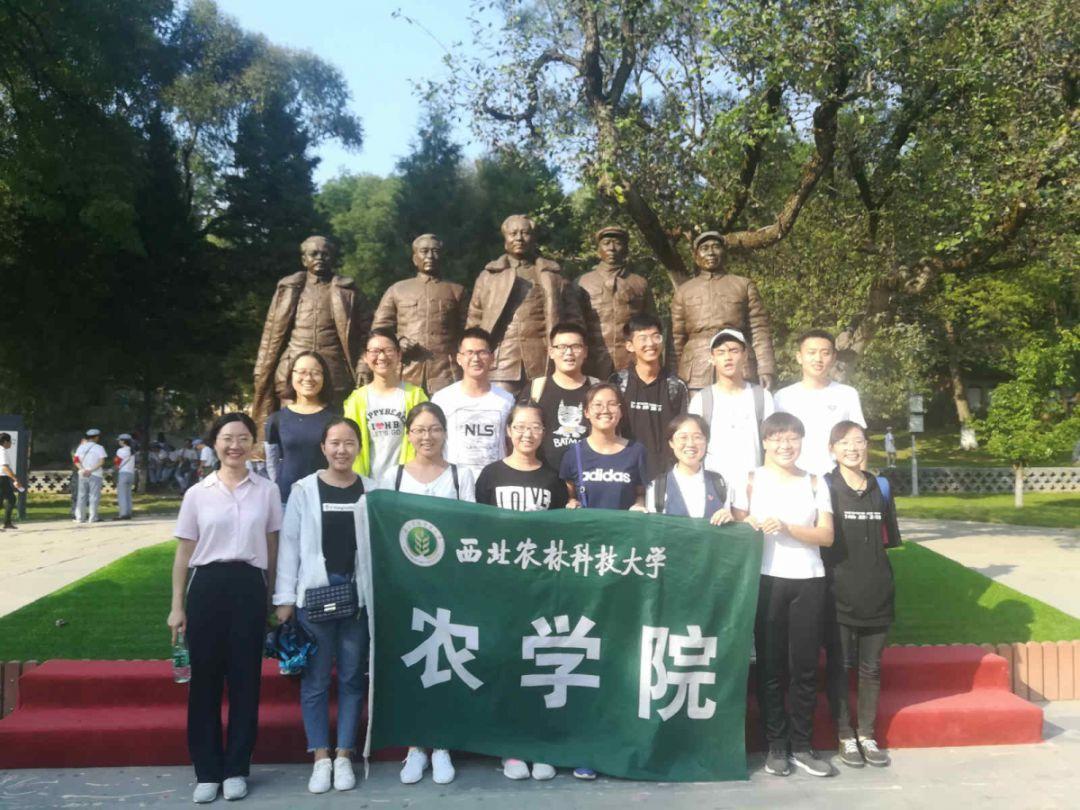 职场中，如何麻烦同事、请同事帮忙？