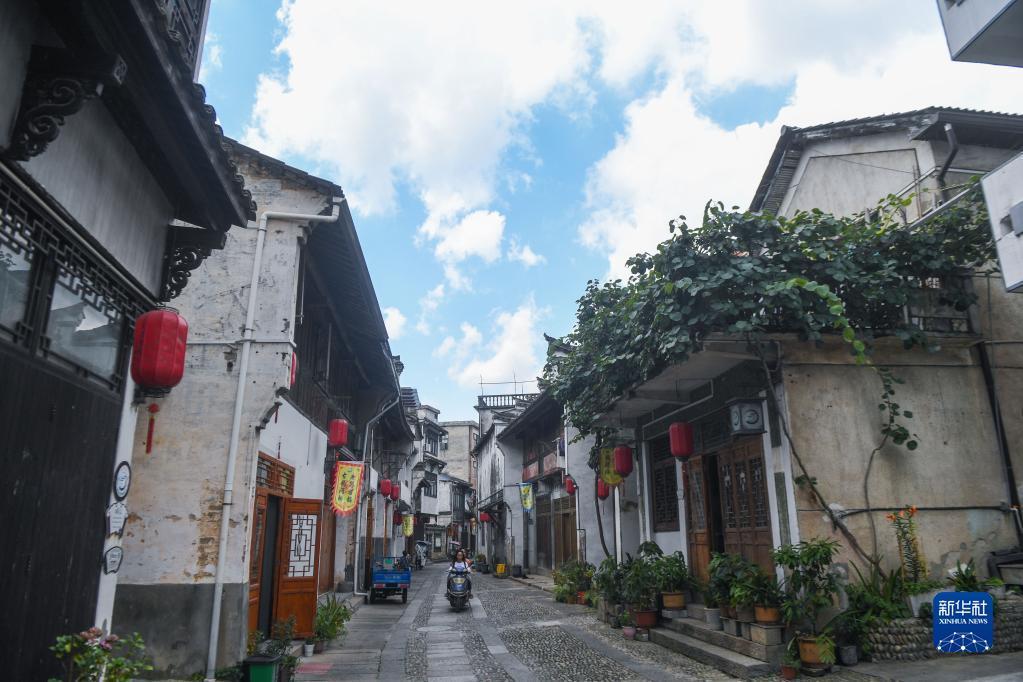 解救金刚鹦鹉